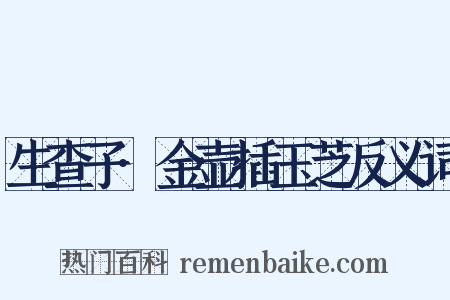 生查子·金壶插玉芝反义词是什么意思的图片